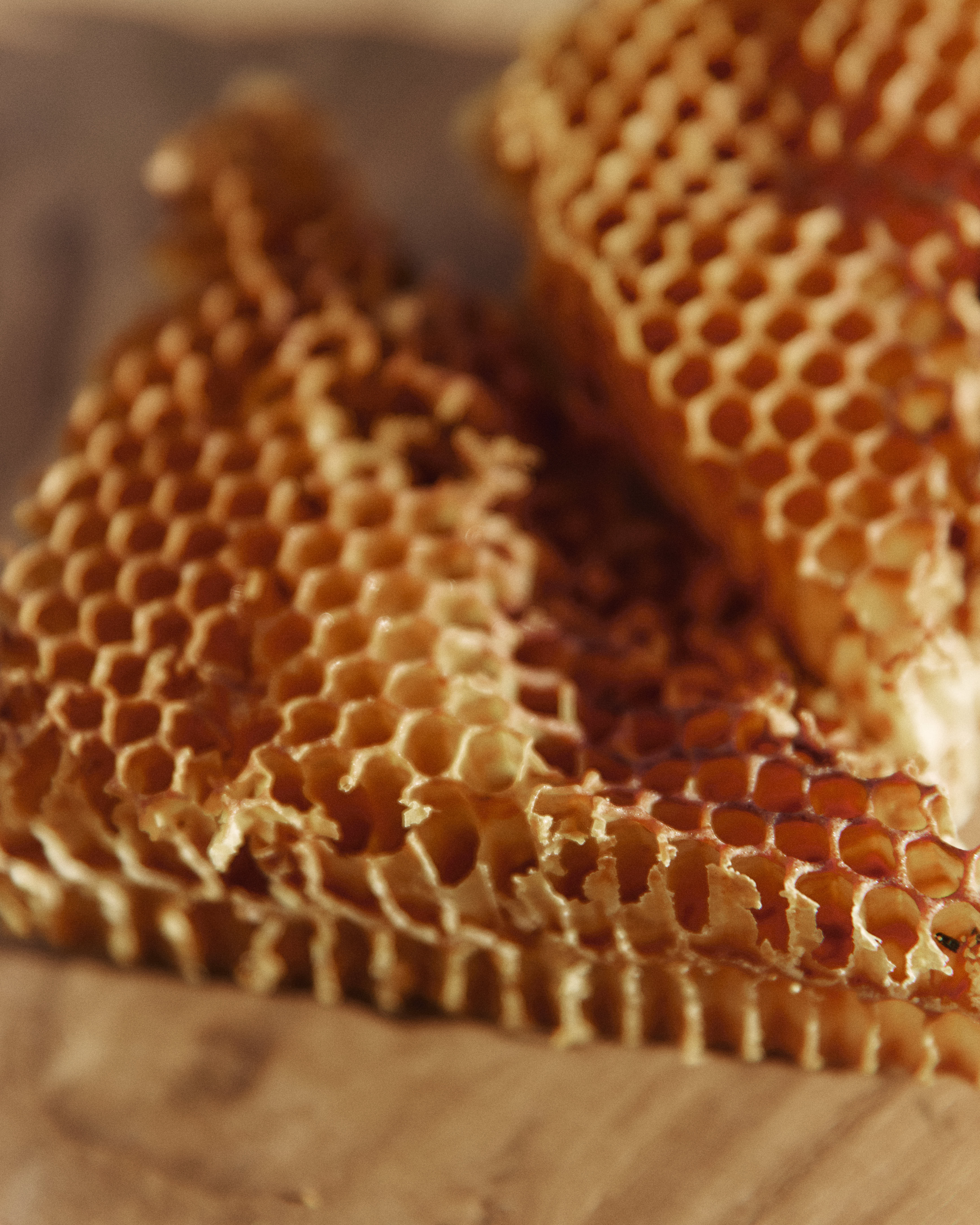 Zbliżenie na kawałki naturalnego plastra miodu o intensywnym, ciepłym, pomarańczowo-złotym kolorze. Widoczne są puste, sześciokątne komórki wosku, a fragmenty leżą na jasnym, niewyraźnym tle.